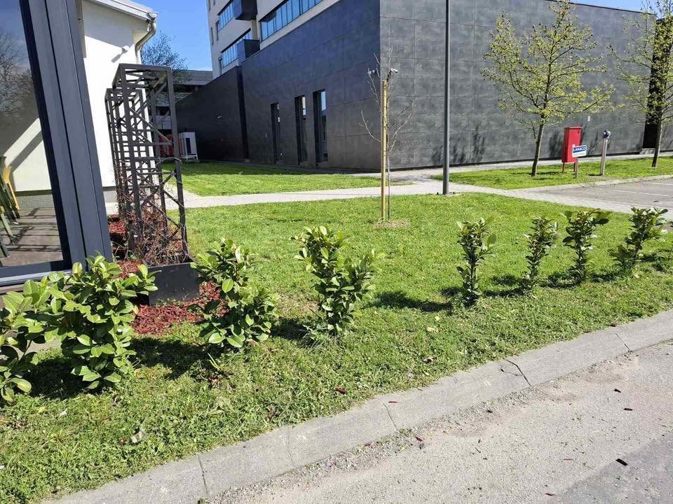 Услуге и занатство "Биће чисто"