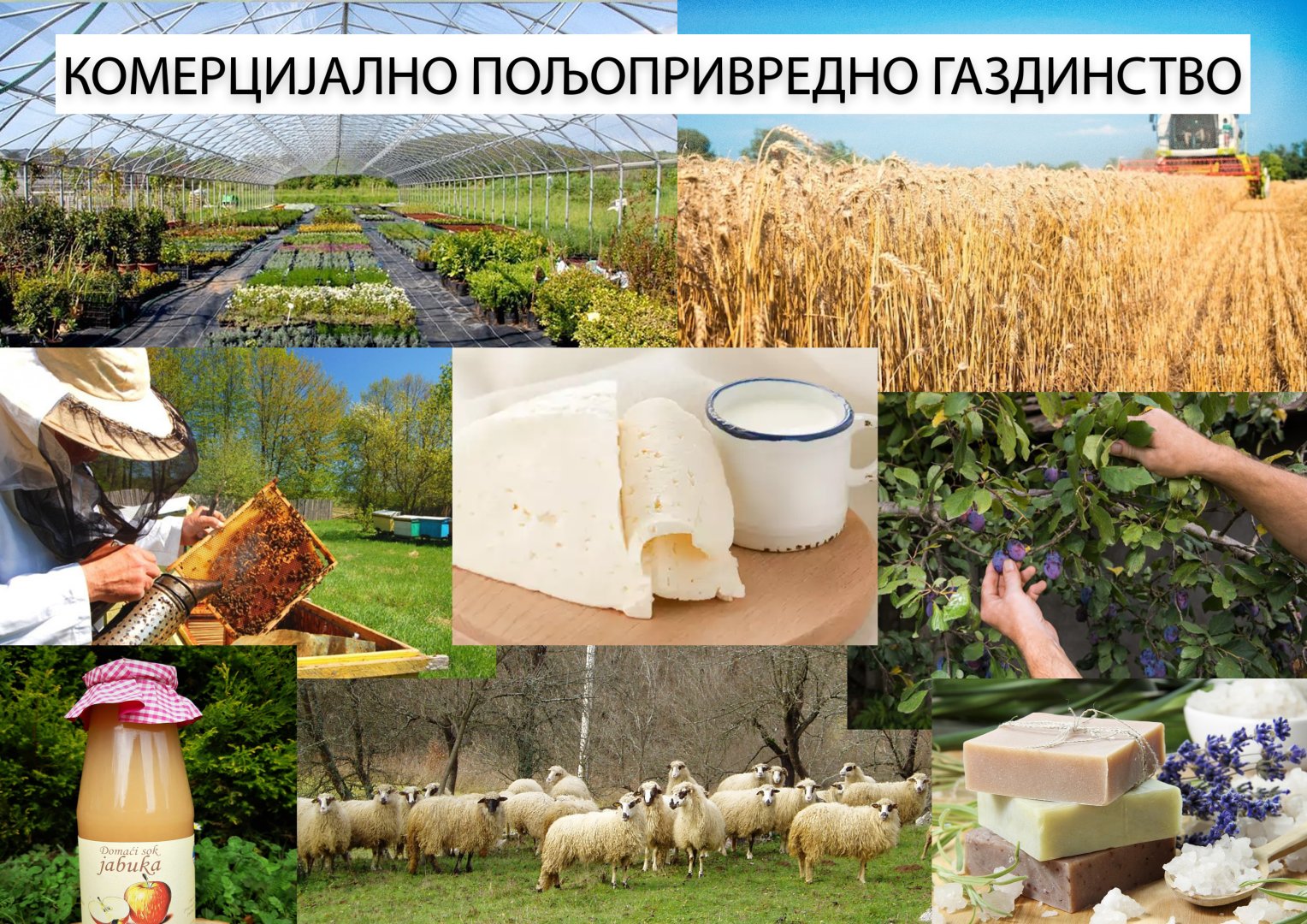 КПГ РАДОВИЋ МИЛИЈА